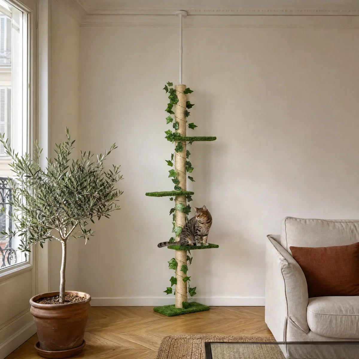 Arbre à chat sol-plafond Lierre, poteau en jute habillé de lierre, un chat tigré sur une plateforme — mise en situation
