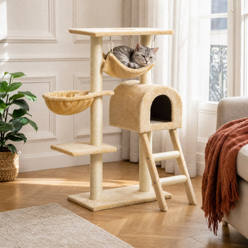 Chat installé sur l'arbre à chat Érable dans un salon — mise en situation