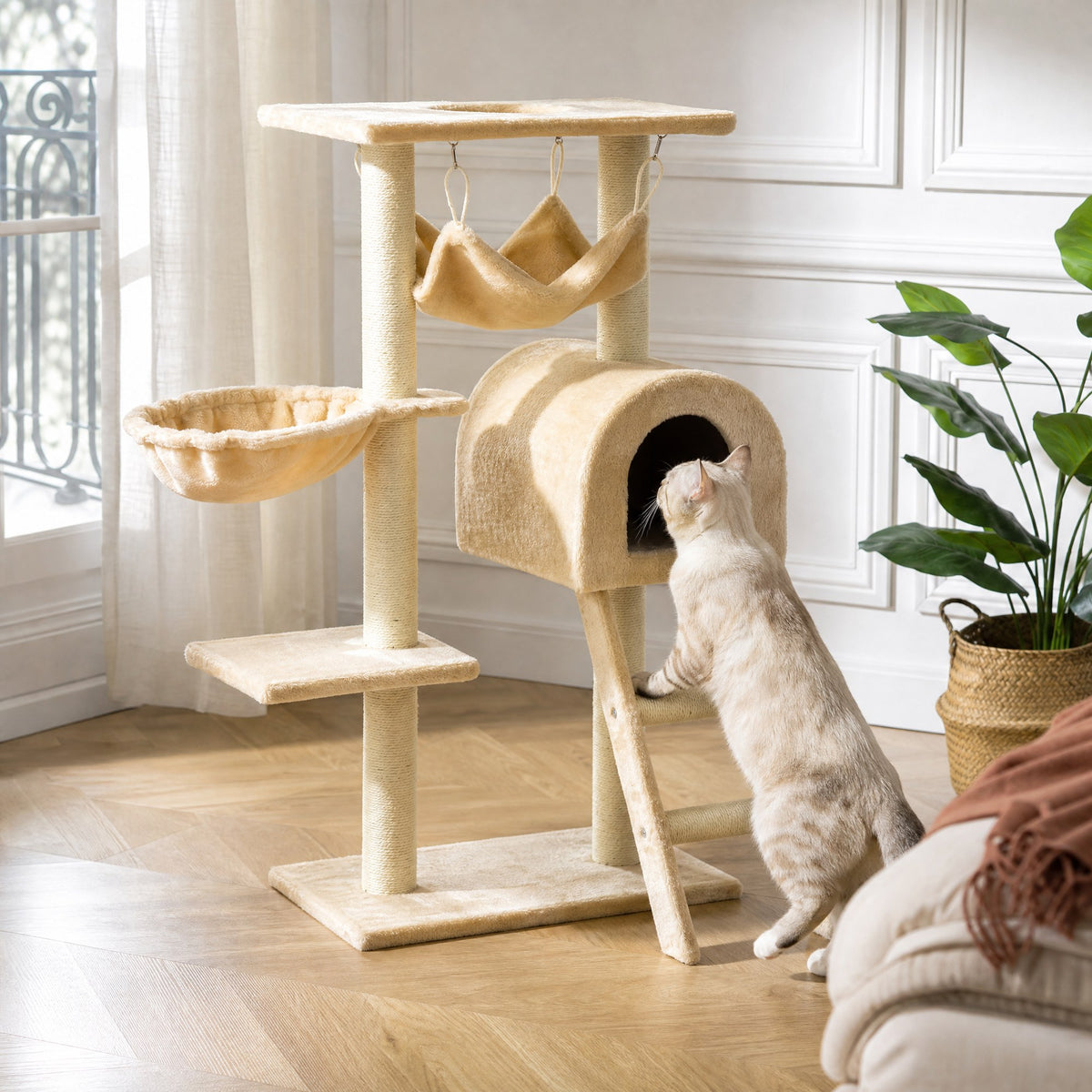 Chat en action sur l'arbre à chat Érable — mise en situation