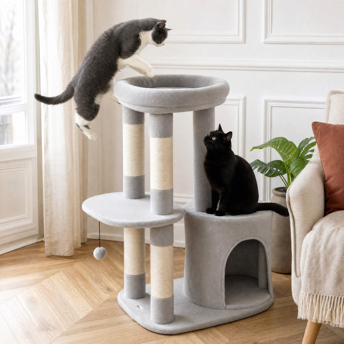Chat en action sur l'arbre à chat Saule — mise en situation