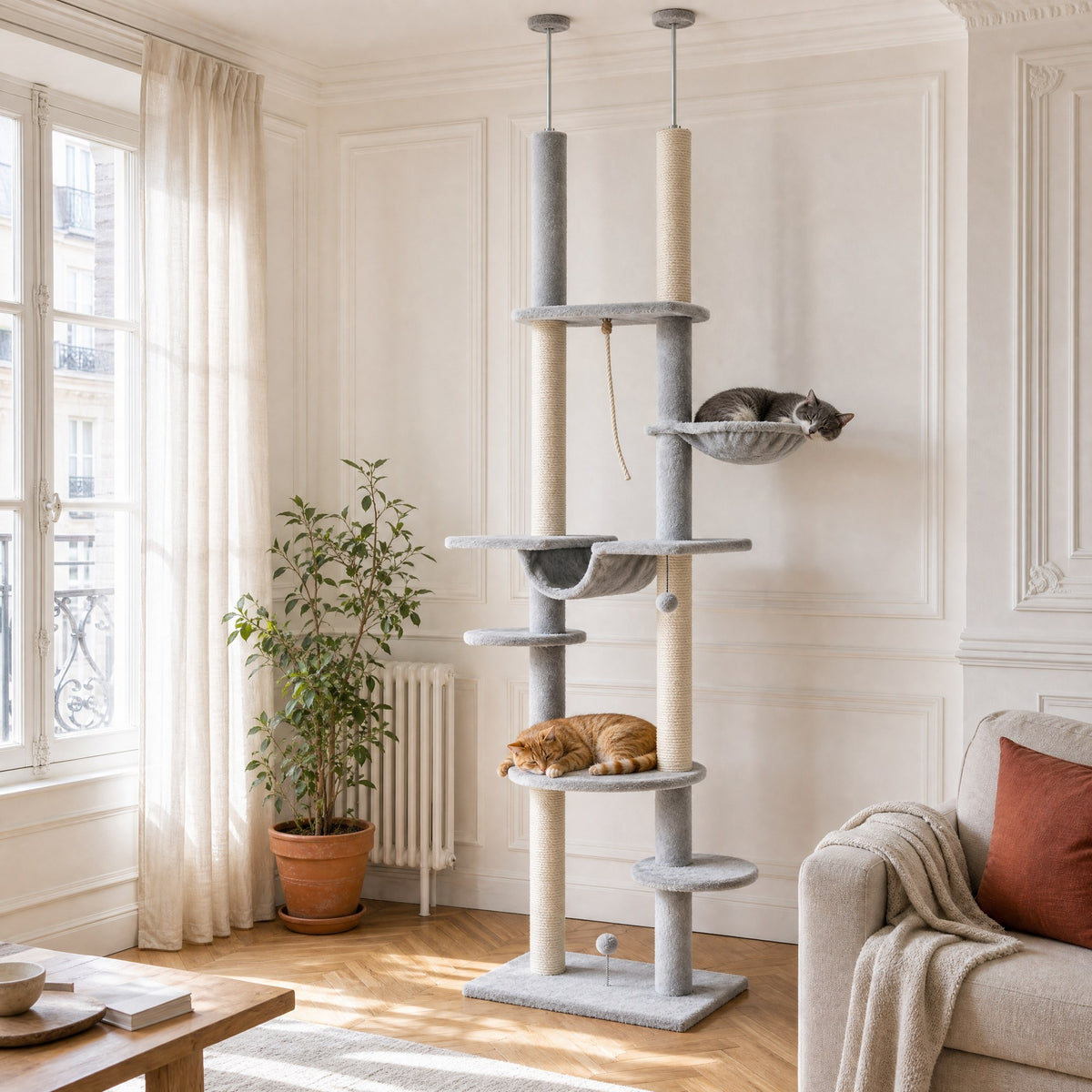 Deux chats installés sur l'arbre à chat sol-plafond Bouleau dans un salon — mise en situation