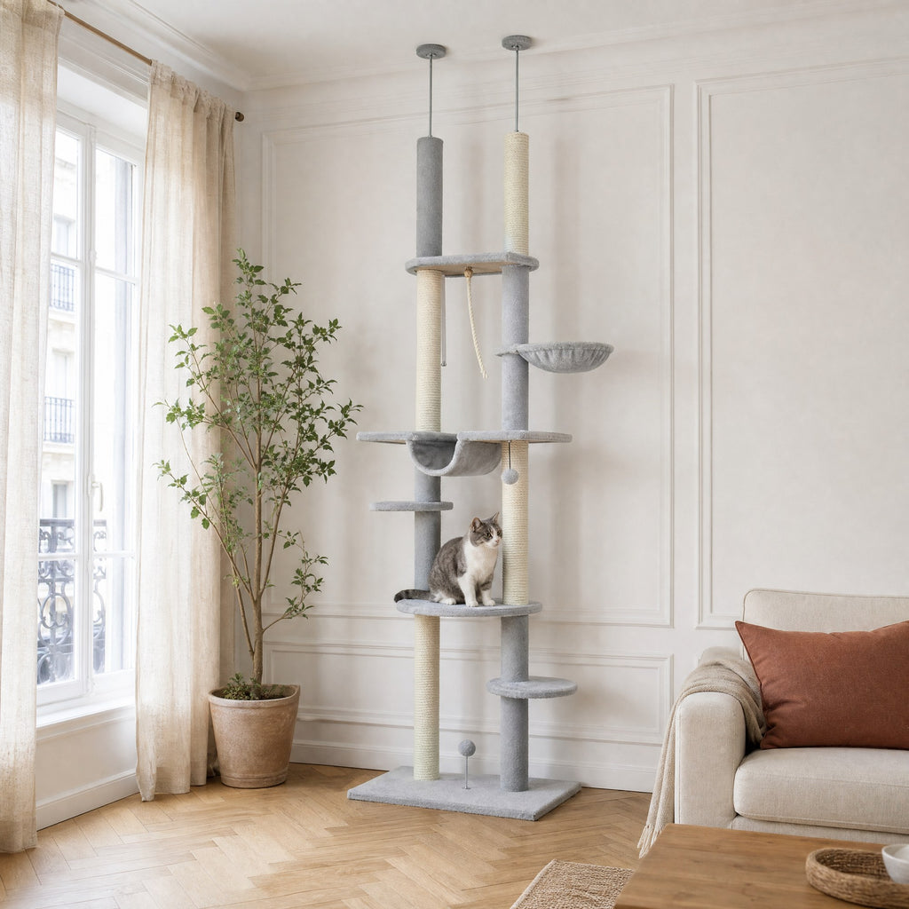 L'arbre à chat sol-plafond Bouleau tenu entre le sol et le plafond par sa tige de tension, sans percer le plafond — mise en situation