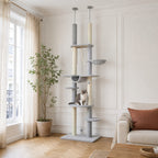 L'arbre à chat sol-plafond Bouleau tenu entre le sol et le plafond par sa tige de tension, sans percer le plafond — mise en situation