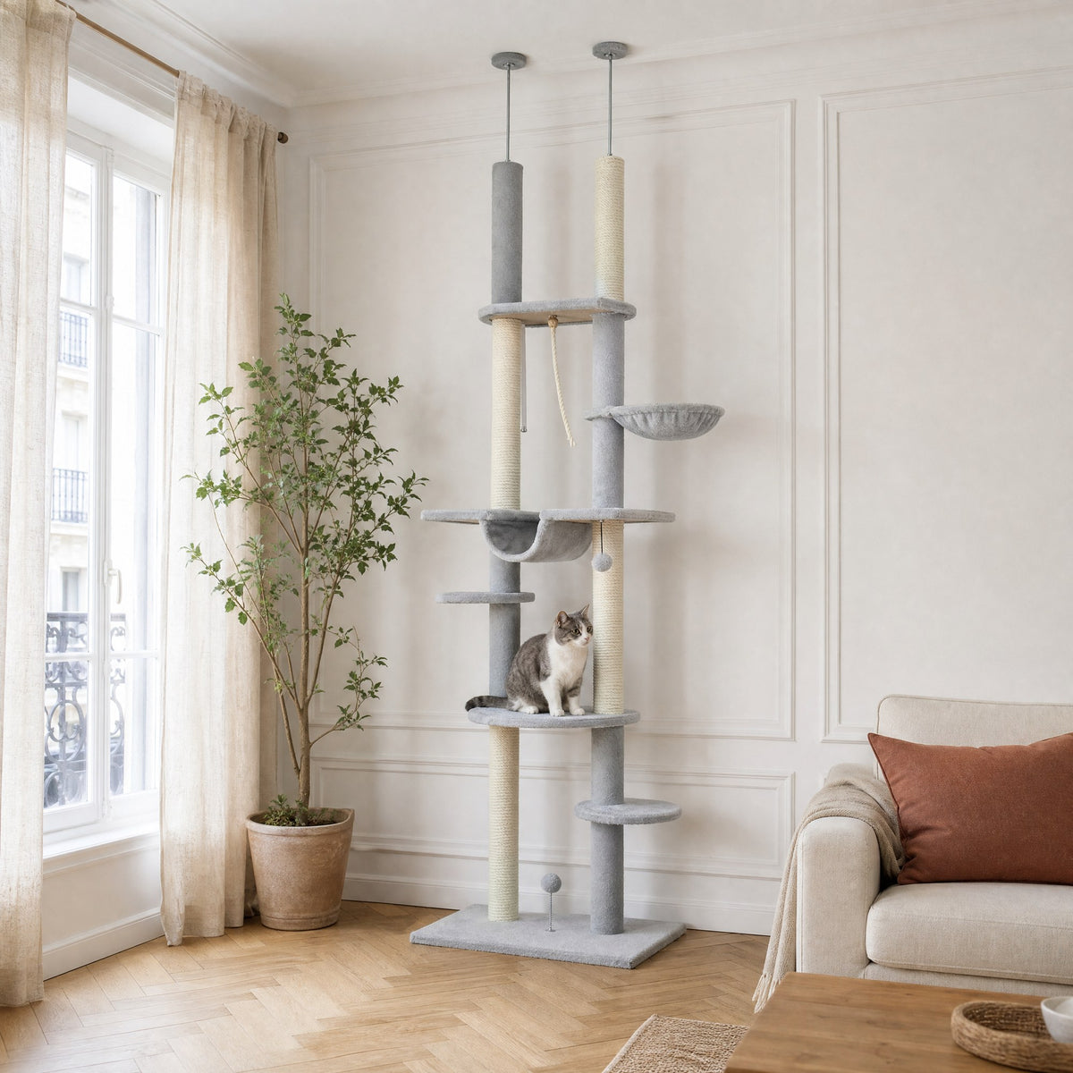 L'arbre à chat sol-plafond Bouleau tenu entre le sol et le plafond par sa tige de tension, sans percer le plafond — mise en situation