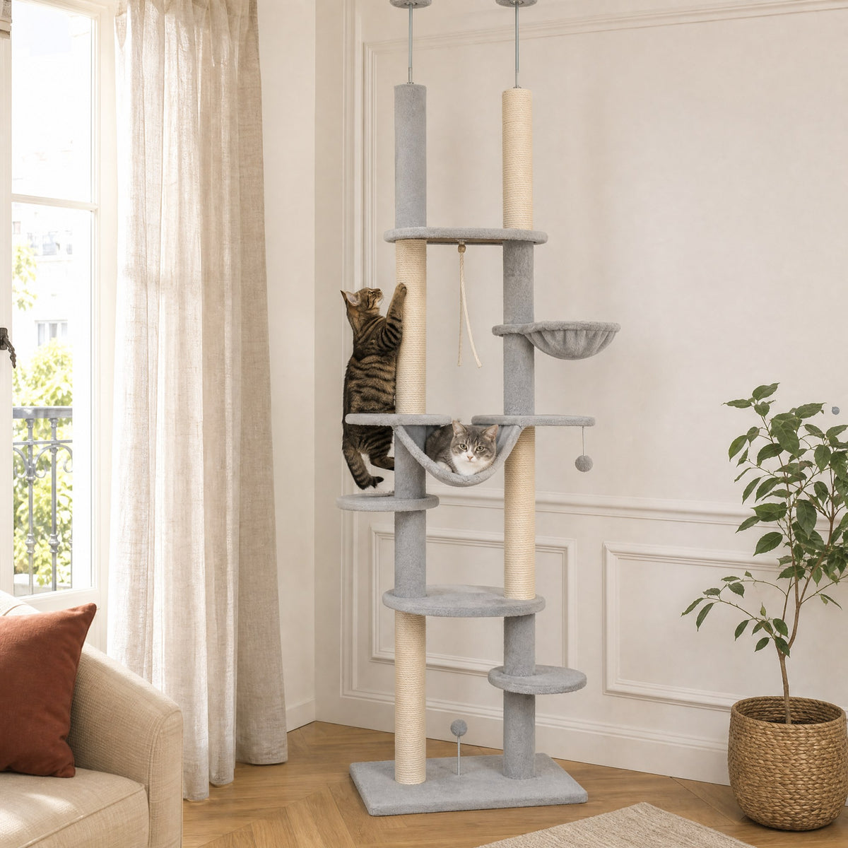 Chat en action sur l'arbre à chat sol-plafond Bouleau — mise en situation