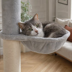 Gros plan sur les matières de l'arbre à chat sol-plafond Bouleau — mise en situation