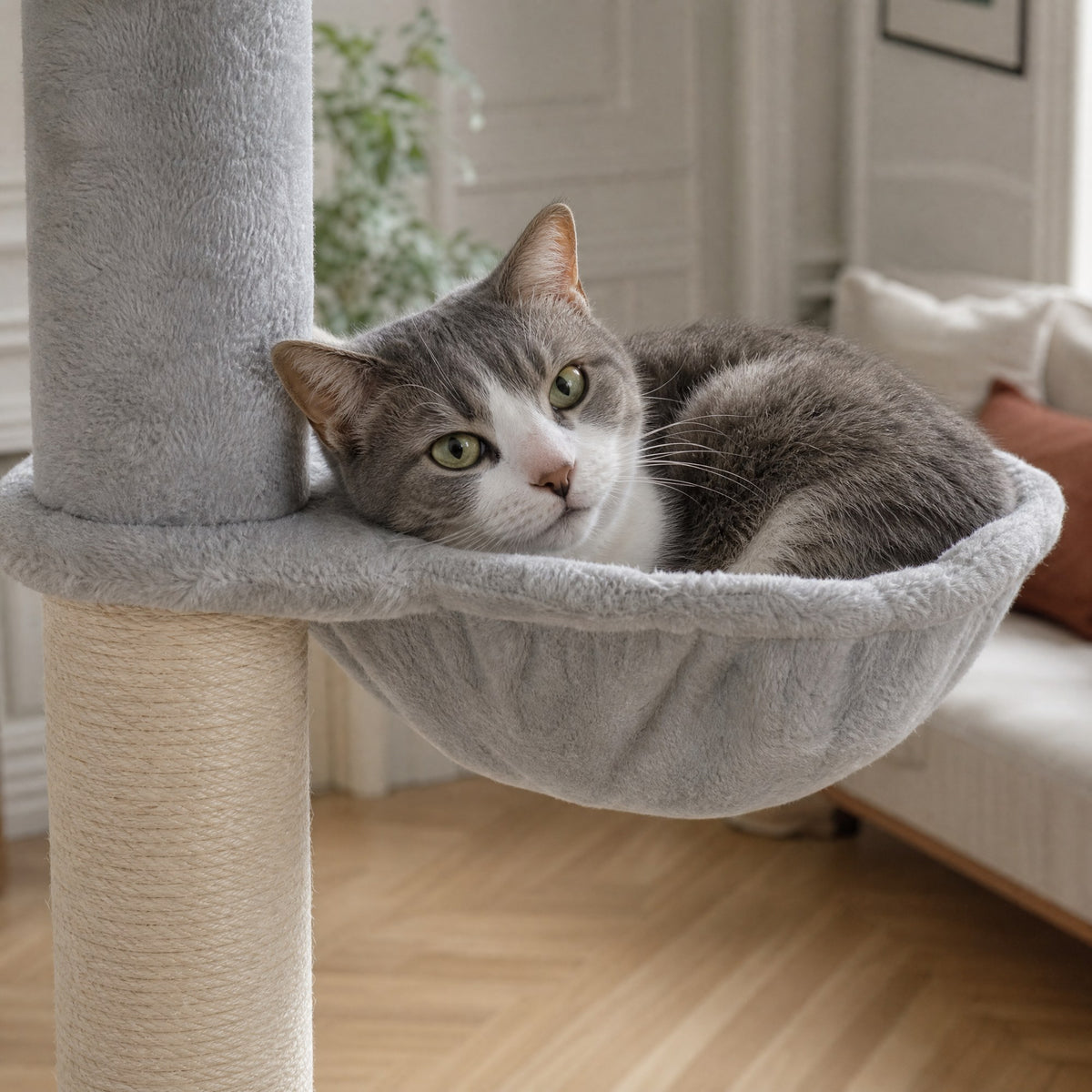 Gros plan sur les matières de l'arbre à chat sol-plafond Bouleau — mise en situation