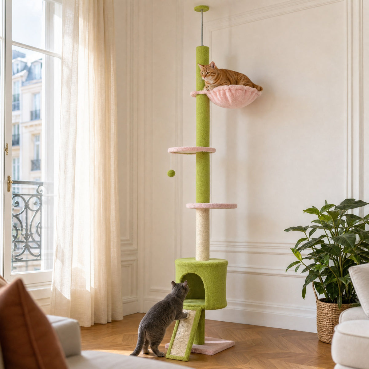 Chat en action sur l'arbre à chat sol-plafond Fleur — mise en situation
