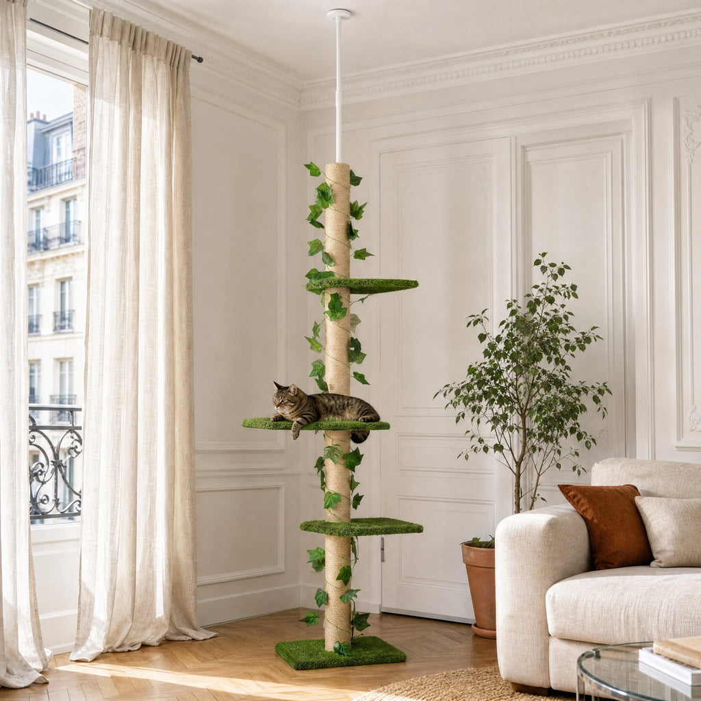 Chat installé sur l'arbre à chat sol-plafond Lierre dans un salon — mise en situation
