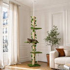 Chat installé sur l'arbre à chat sol-plafond Lierre dans un salon — mise en situation