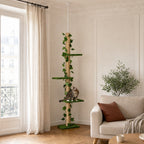 L'arbre à chat sol-plafond Lierre tenu entre le sol et le plafond par sa tige de tension, sans percer le plafond — mise en situation
