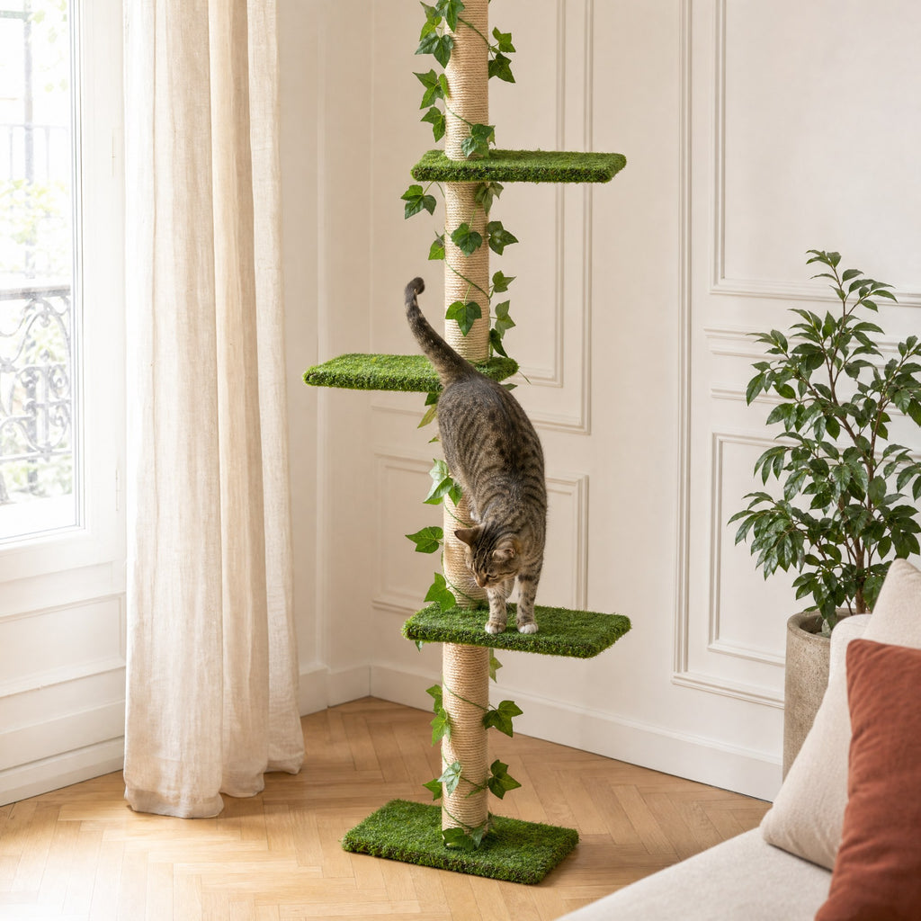 Chat en action sur l'arbre à chat sol-plafond Lierre — mise en situation