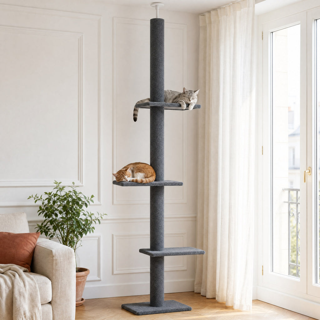 Deux chats installés sur l'arbre à chat sol-plafond Nimbus dans un salon — mise en situation