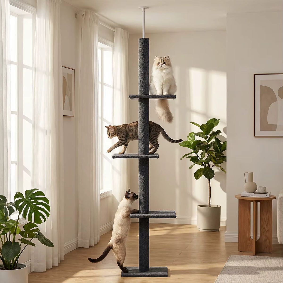 Arbre à chat Nimbus — photo du fabricant
