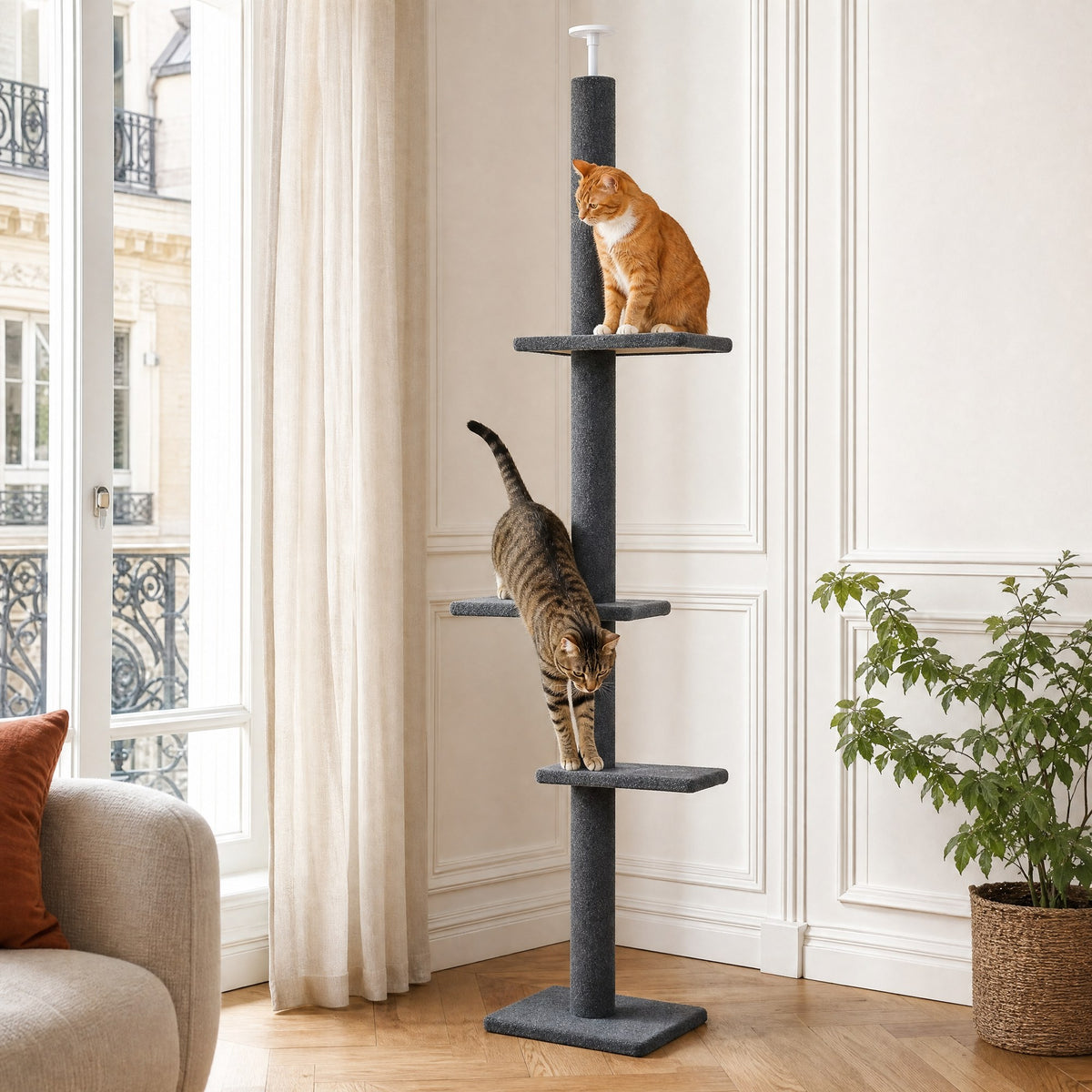 Chat en action sur l'arbre à chat sol-plafond Nimbus — mise en situation
