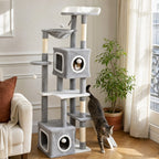 Chat en action sur l'arbre à chat Tilleul — mise en situation