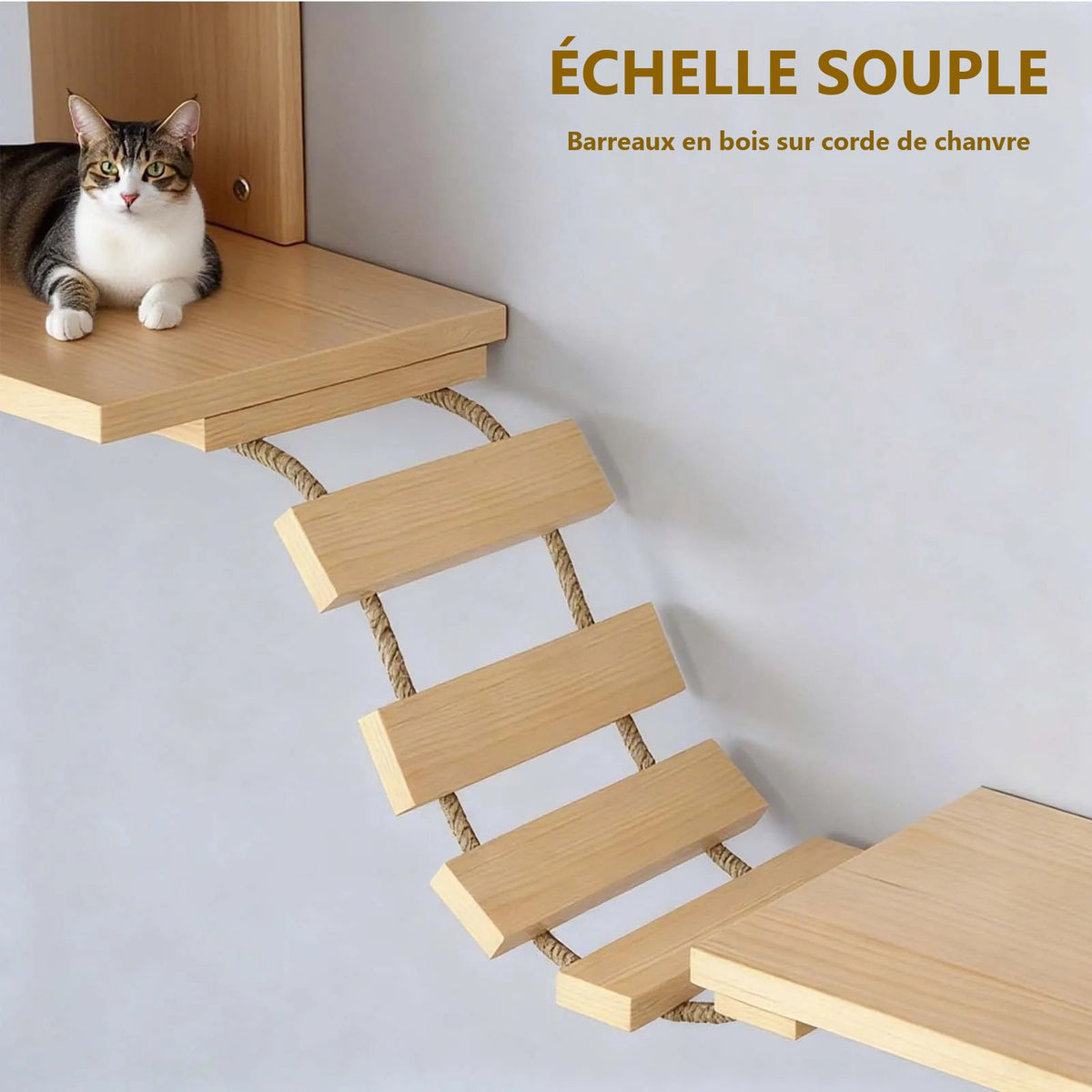 Échelle souple : barreaux en bois sur corde de chanvre — visuel du fournisseur