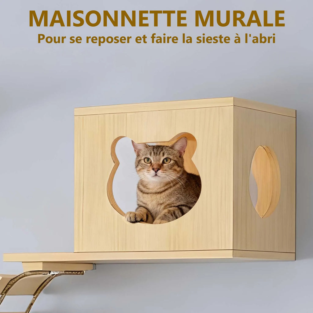 Chat dans la maisonnette murale en pin — visuel du fournisseur