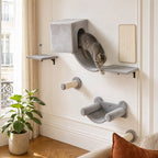 Chat en action sur l'ensemble mural Ramure — mise en situation