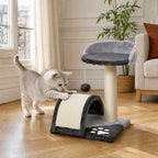 Chat en action sur le petit arbre à chat Noisette — mise en situation