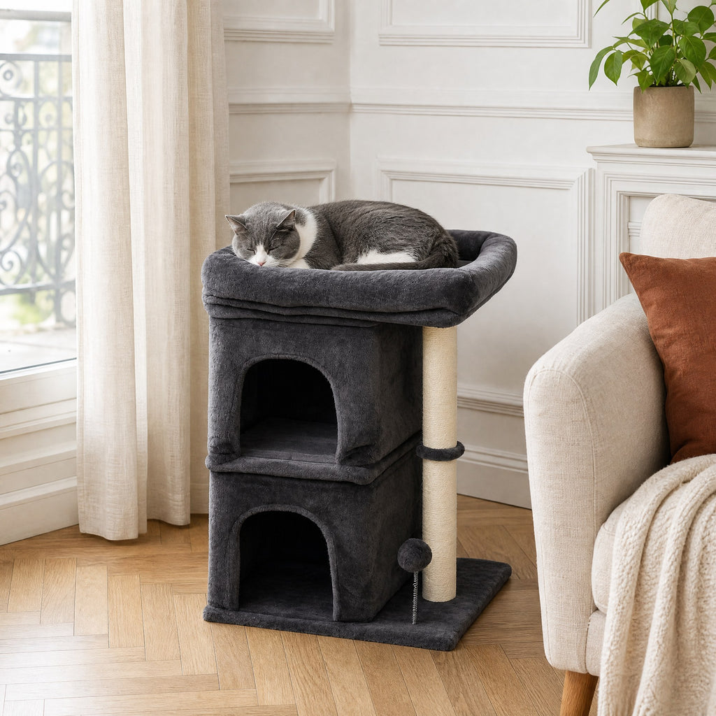 Chat installé sur le petit arbre à chat Peuplier dans un salon — mise en situation
