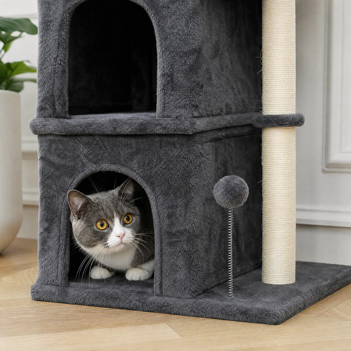 Gros plan sur les matières du petit arbre à chat Peuplier — mise en situation